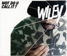 Wiley (2) : Wot Do U Call It? (CD, Single, Enh)