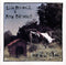 Edie Brickell & New Bohemians : Ghost Of A Dog (CD, Album)