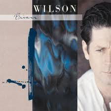 Brian Wilson : Brian Wilson (CD, Album)