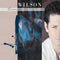 Brian Wilson : Brian Wilson (CD, Album)