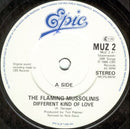 The Flaming Mussolinis : Different Kind Of Love (7", Single)