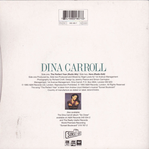 Dina Carroll : The Perfect Year (7", Single)