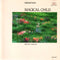 Michael Jones : Magical Child (CD, Album)