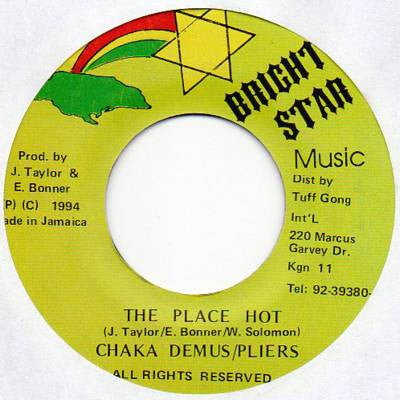 Chaka Demus & Pliers : The Place Hot (7")