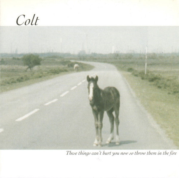 Colt : These Things Can't Hurt You Now So Throw Them In The Fire (CD, Album)