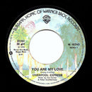 Liverpool Express : You Are My Love / Never Be The Same Boy (7")