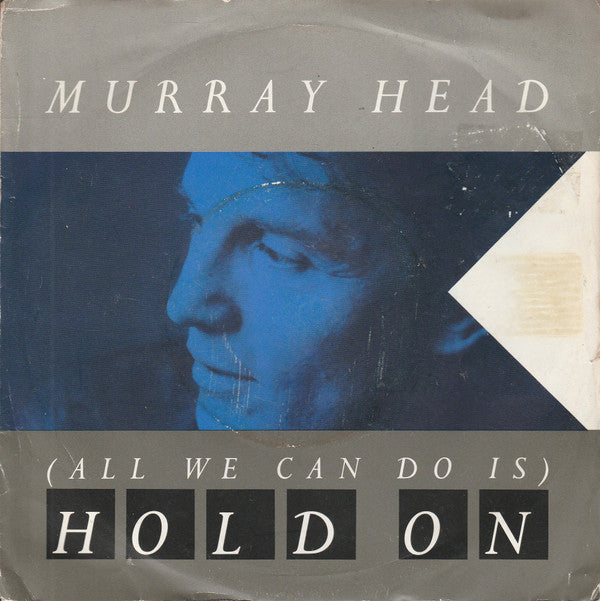 Murray Head : (All We Can Do Is) Hold On (7")