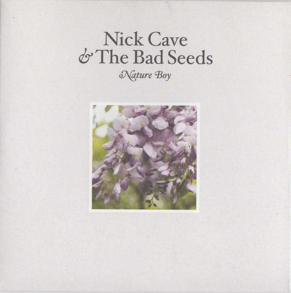 Nick Cave & The Bad Seeds : Nature Boy (CD, Single)