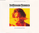 Hothouse Flowers : An Emotional Time (CD, Single)