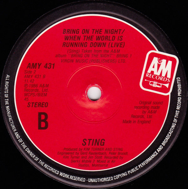 Sting : Englishman In New York (12", Single)