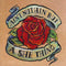 Various : Ain't Nuthin' But A She Thing (CD, Comp)