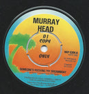 Murray Head : Someone's Rocking My Dreamboat (7", Promo)