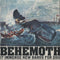 Various : Behemoth (17 Immense New Bands For 2012) (CD, Comp)