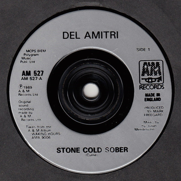 Del Amitri : Stone Cold Sober (7", Single)