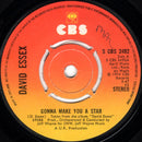David Essex : Gonna Make You A Star (7", Single, Pus)