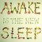 Ben Lee : Awake Is The New Sleep (CD, Album)