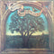 Steeleye Span : Now We Are Six (LP, Album)
