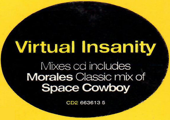 Jamiroquai : Virtual Insanity (CD, Single, CD2)