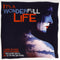 Various : It's A Wonderfull Life (A Journey Into Sound) (CD, Comp)