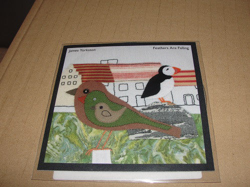 James Yorkston : Feathers Are Falling (CDr, Single, Promo)