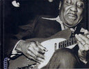 Muddy Waters : Master Of The Blues (CD, Comp)