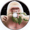 Basement Jaxx : Rooty (CD, Album, Son)