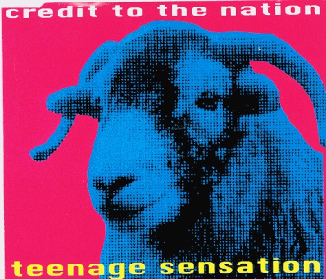 Credit To The Nation : Teenage Sensation (CD, Single)