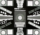The Beta Band : Assessment (CD, Single)