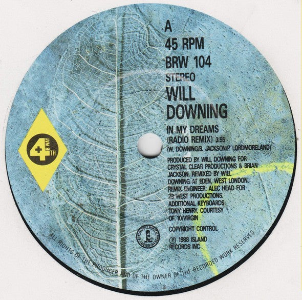 Will Downing : In My Dreams (7", Single, Blu)